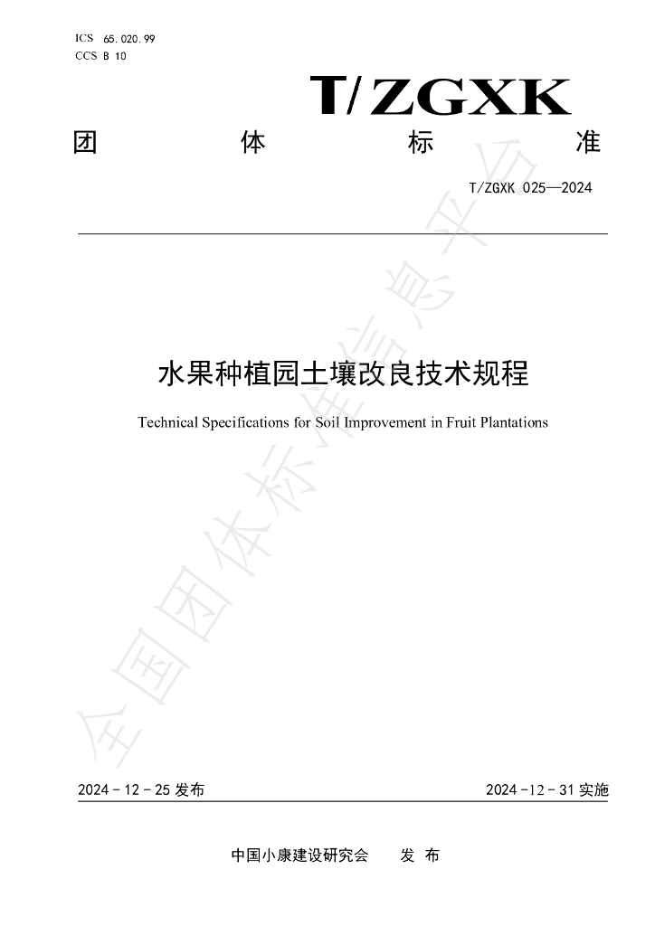 T/ZGXK 025-2024 标准预览
