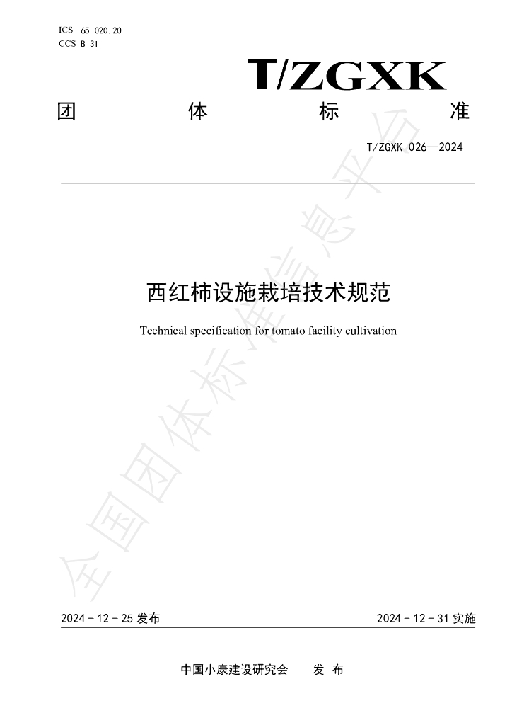 T/ZGXK 026-2024 标准预览