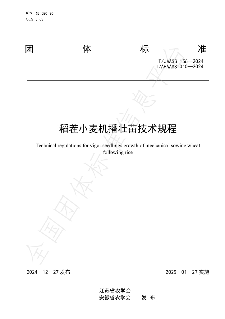 T/JAASS 156-2024 标准预览