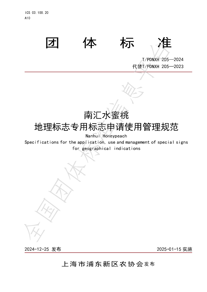 T/PDNXH 205-2024 标准预览