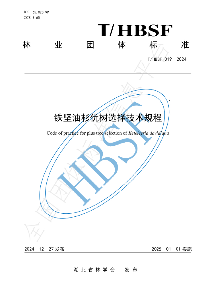 T/HBSF 019-2024 标准预览