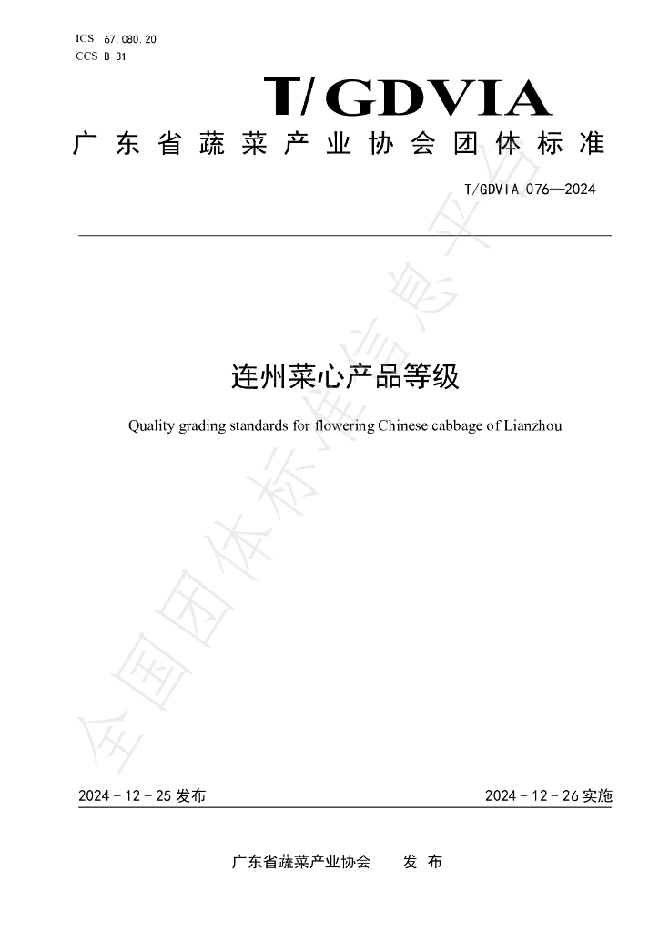 T/GDVIA 076-2024 标准预览