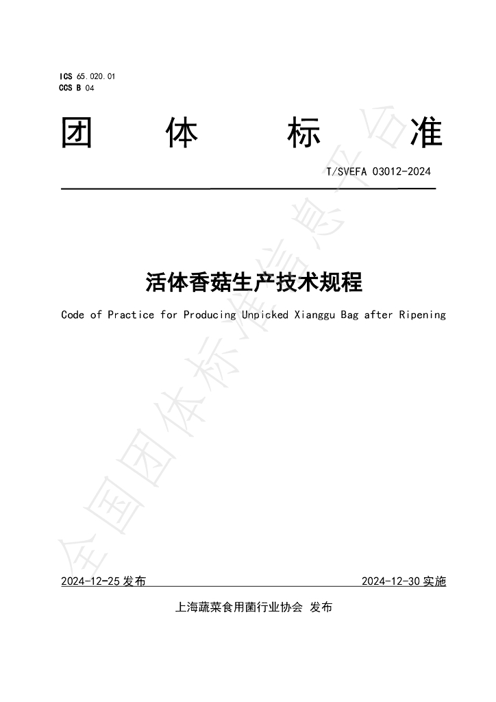 T/SVEFA 03012-2024 标准预览