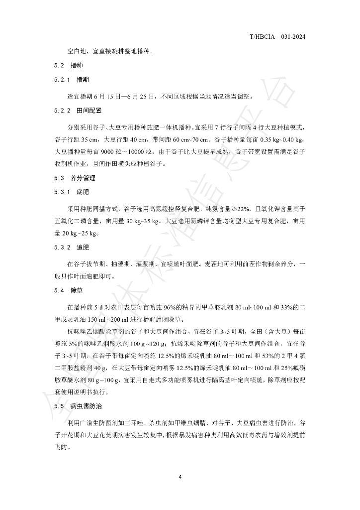 T/HBCIA 031-2024 标准预览