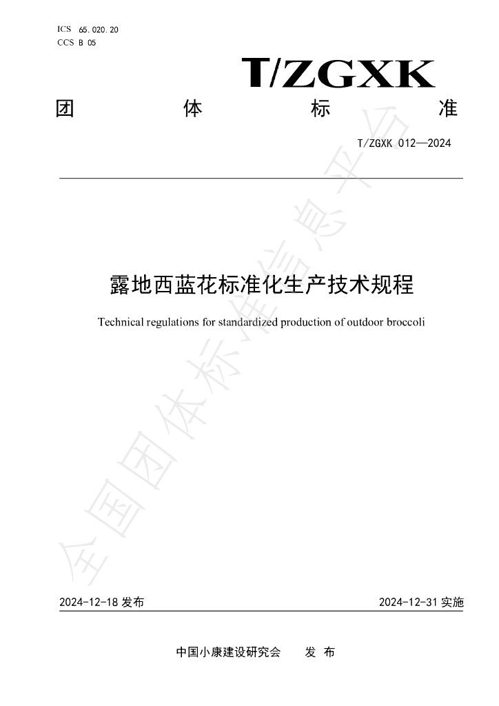 T/ZGXK 012-2024 标准预览