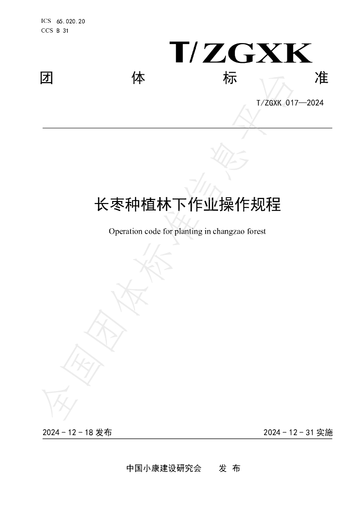 T/ZGXK 017-2024 标准预览