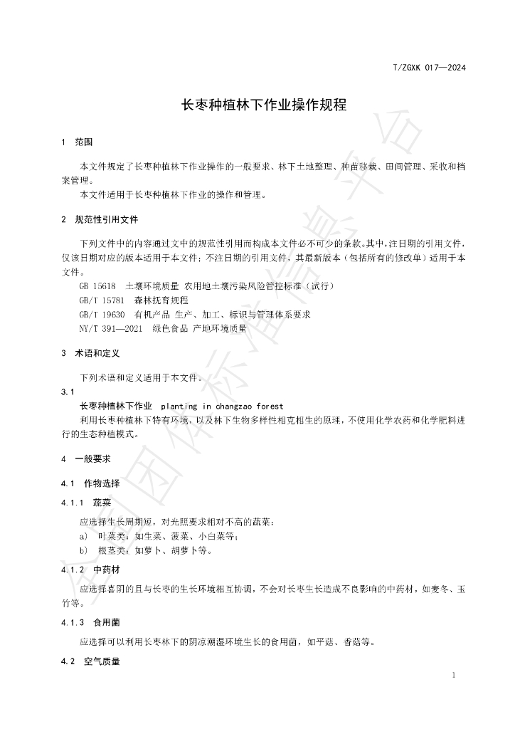 T/ZGXK 017-2024 标准预览