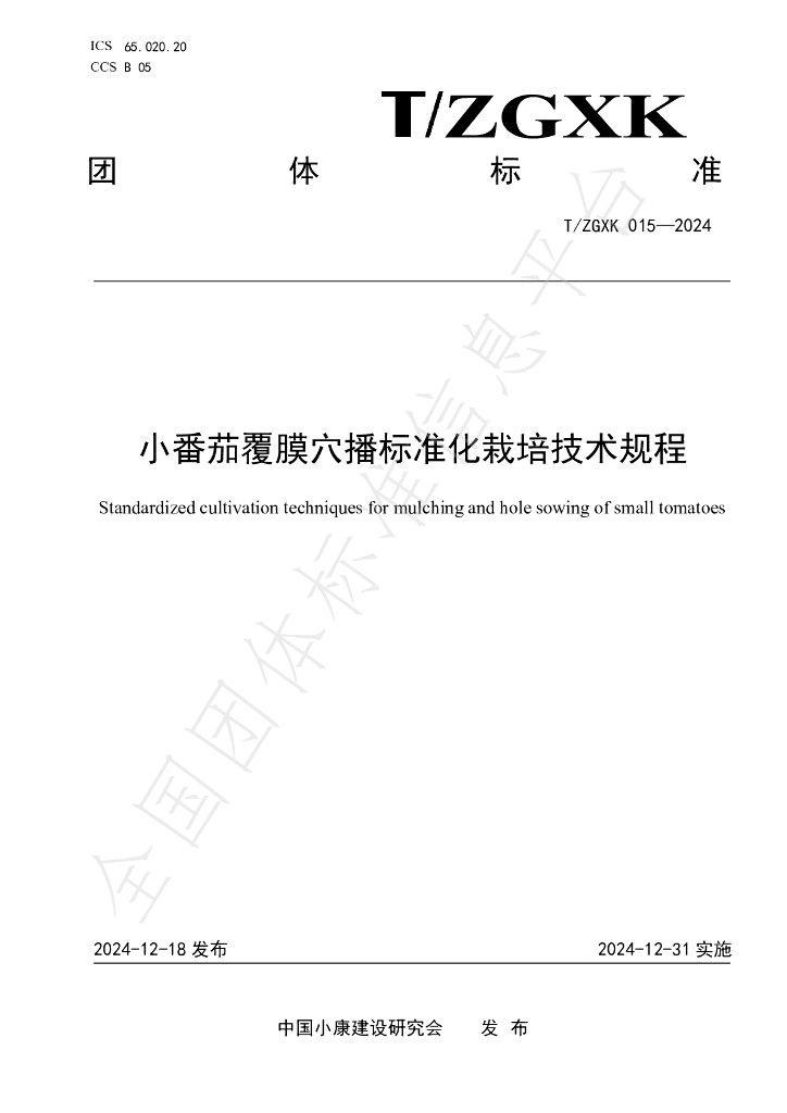 T/ZGXK 015-2024 标准预览