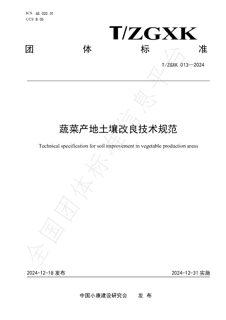 T/ZGXK 013-2024 标准预览