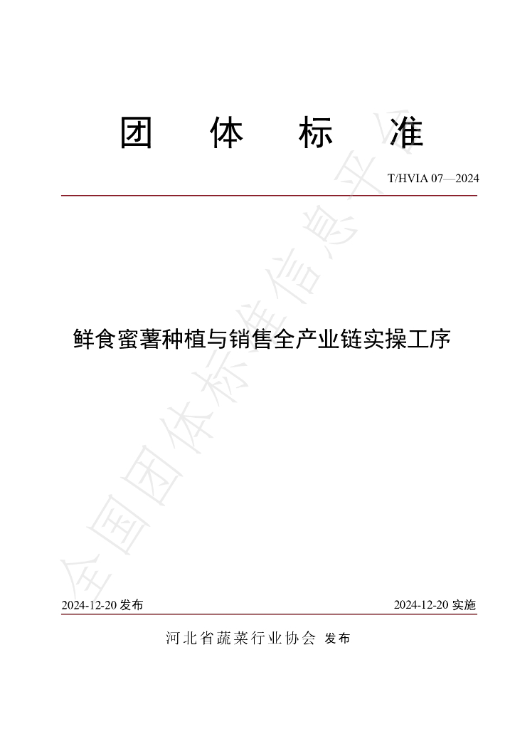 T/HVIA 07-2024 标准预览