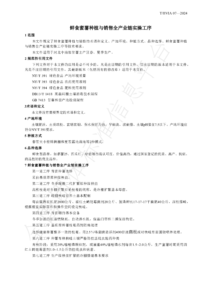 T/HVIA 07-2024 标准预览