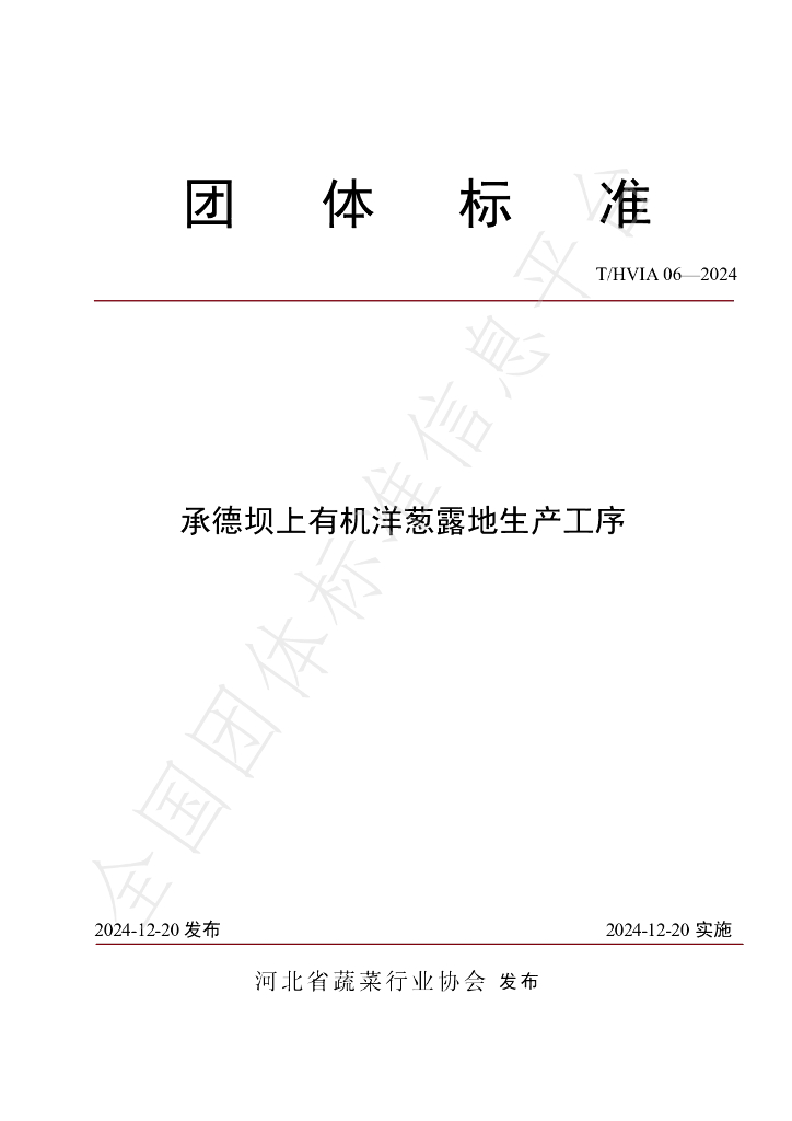 T/HVIA 06-2024 标准预览