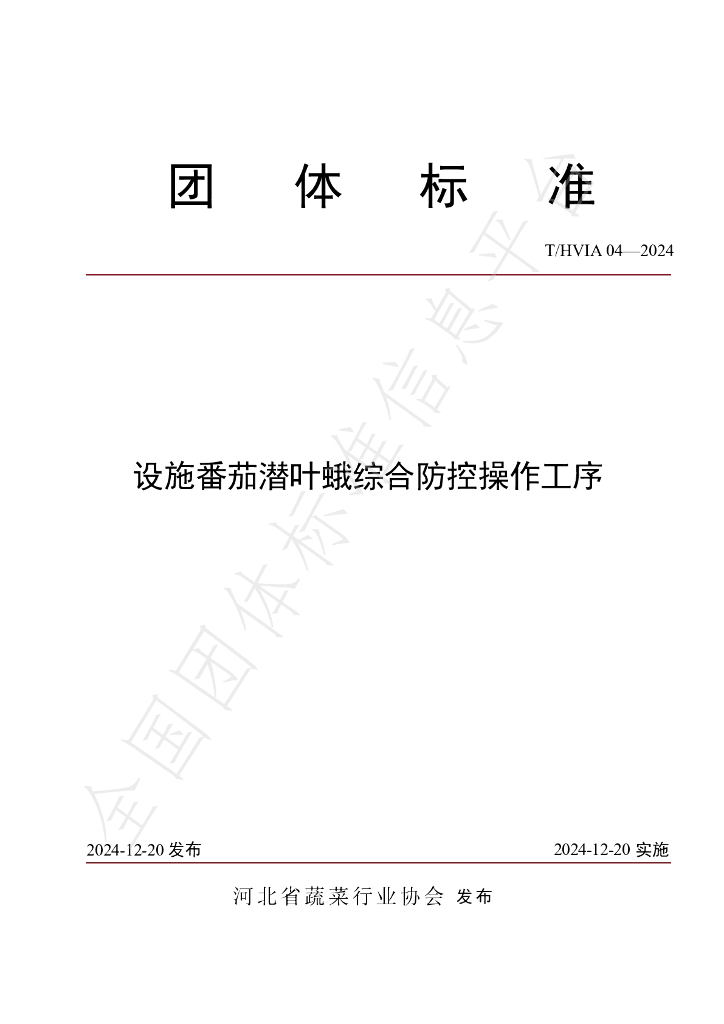T/HVIA 04-2024 标准预览