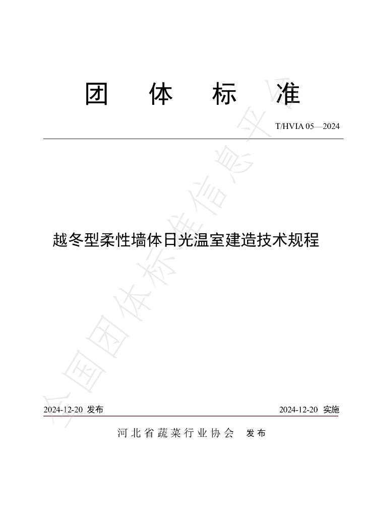 T/HVIA 05-2024 标准预览