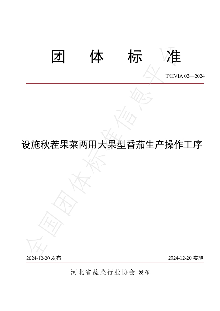 T/HVIA 02-2024 标准预览