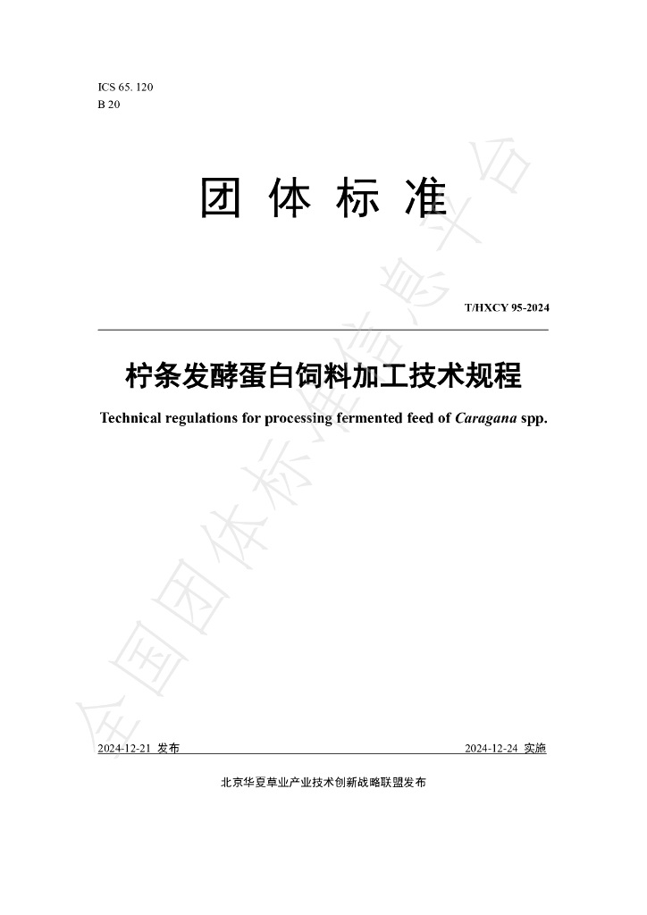 T/HXCY 95-2024 标准预览