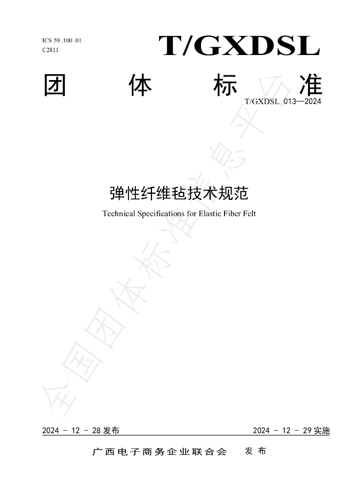 T/GXDSL 013-2024 标准预览
