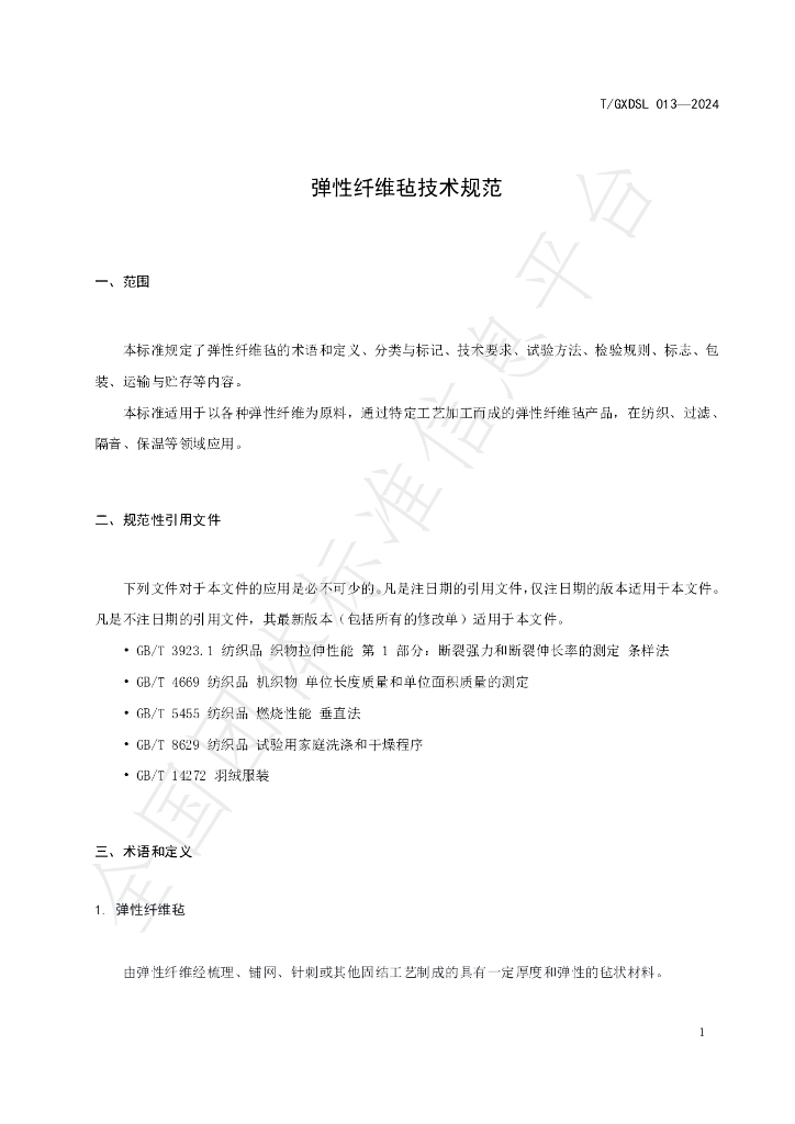T/GXDSL 013-2024 标准预览