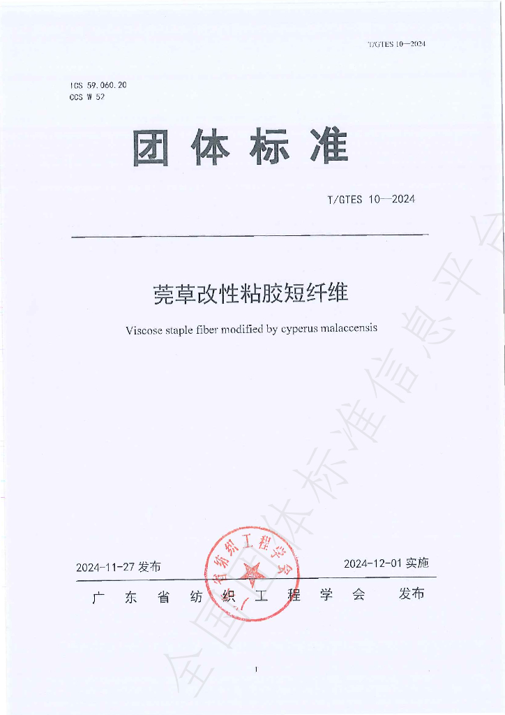T/GTES 10-2024 标准预览