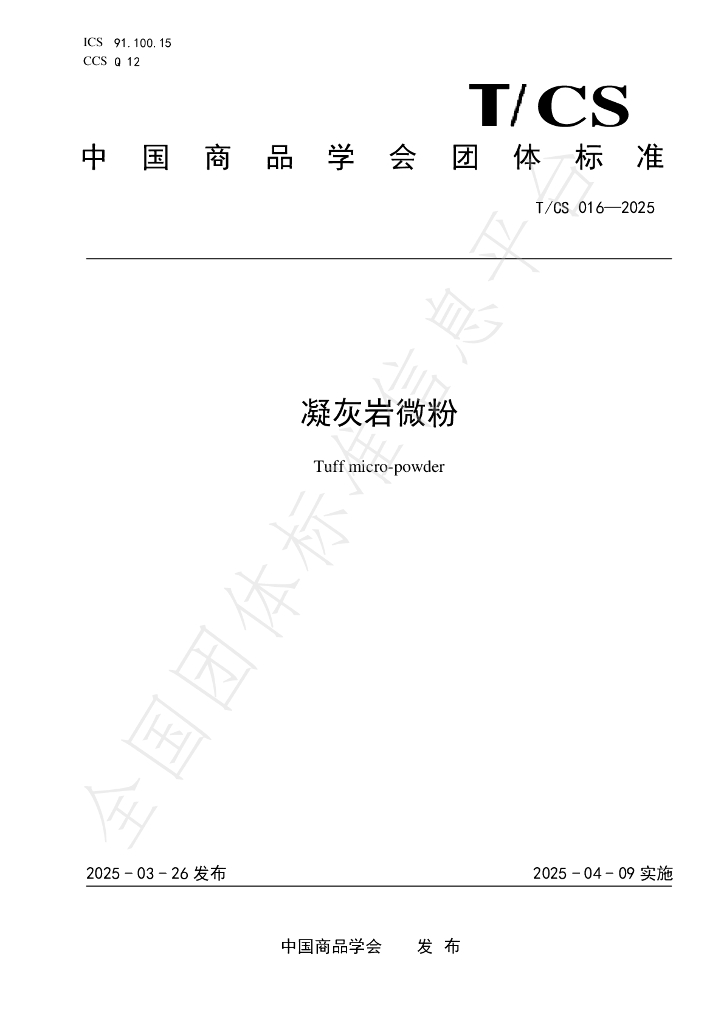 T/CS 016-2025 标准预览