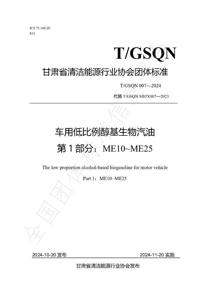 T/GSQN 007-2024 标准预览