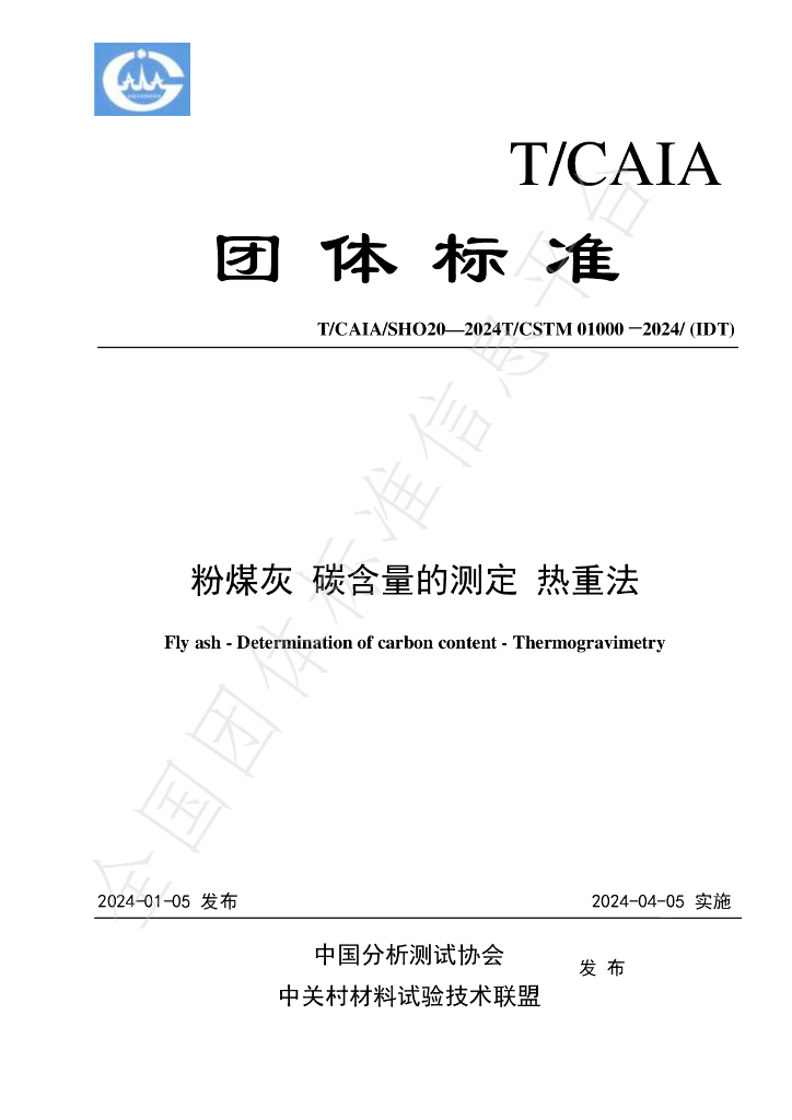 T/CAIA SHO20-2024 标准预览
