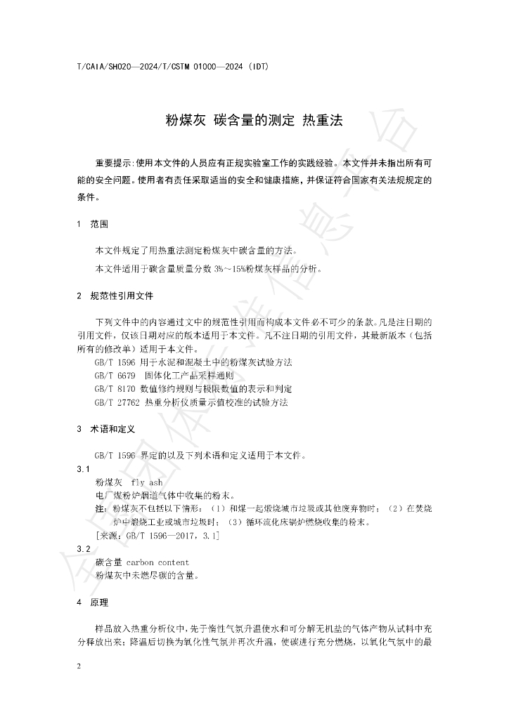 T/CAIA SHO20-2024 标准预览
