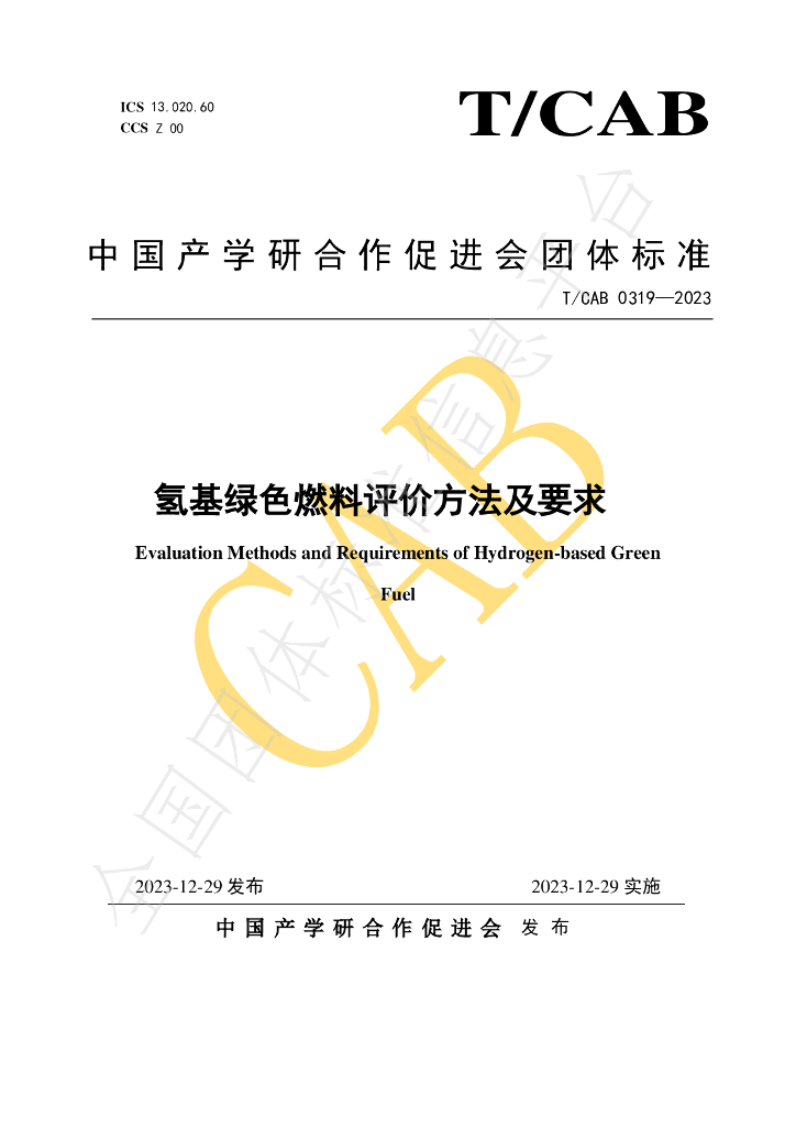 T/CAB 0319-2023 标准预览