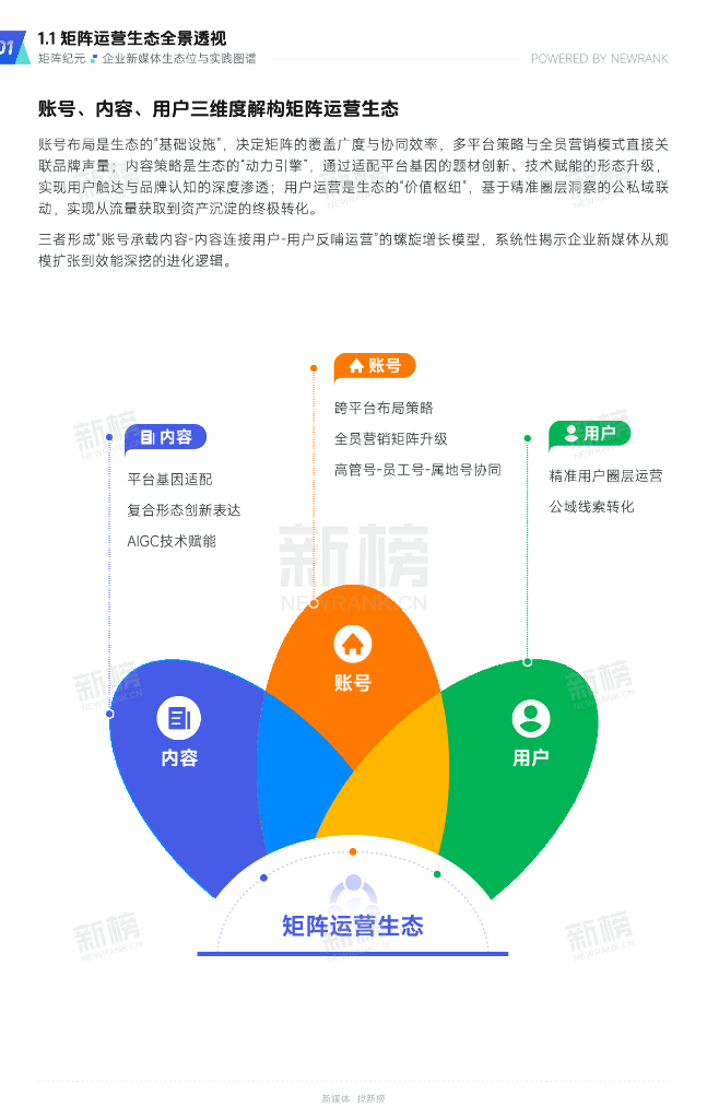 新榜：矩阵纪元-企业新媒体生态位与实践图谱（2025-2030）_第6页