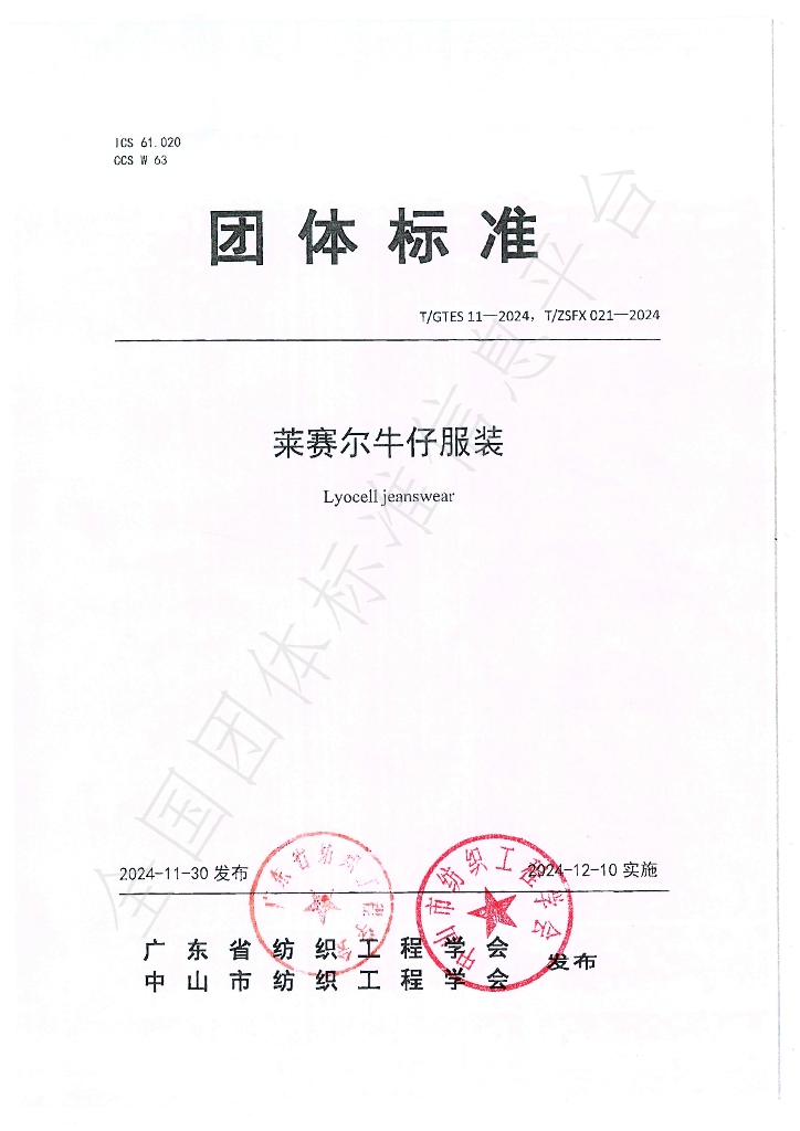 T/GTES 11-2024 标准预览