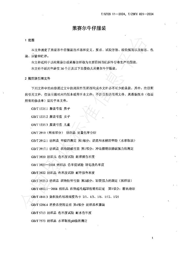 T/GTES 11-2024 标准预览
