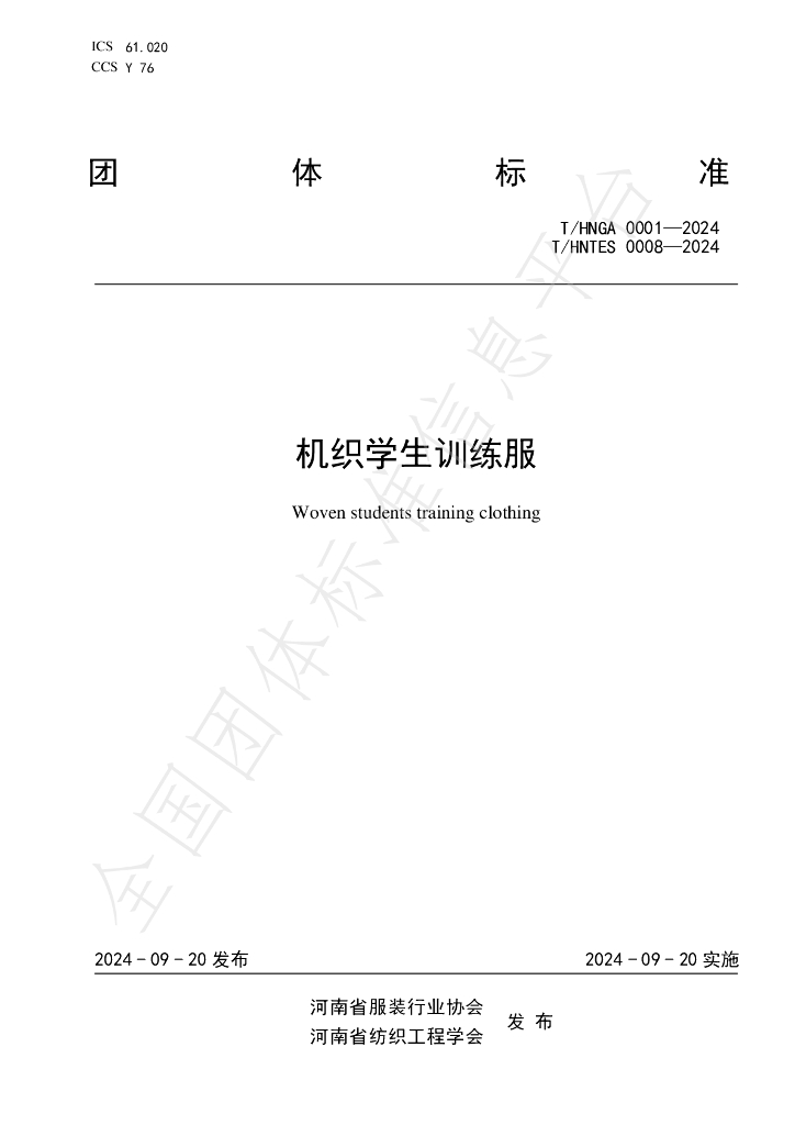 T/HNTES 0008-2024 标准预览