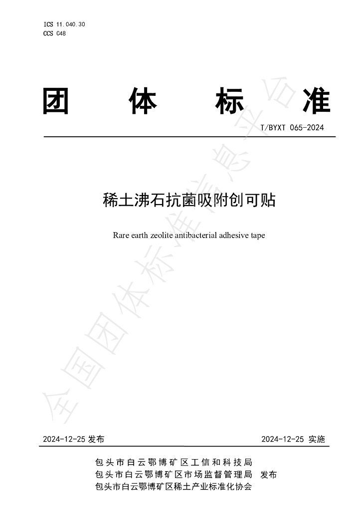 T/BYXT 065-2024 标准预览