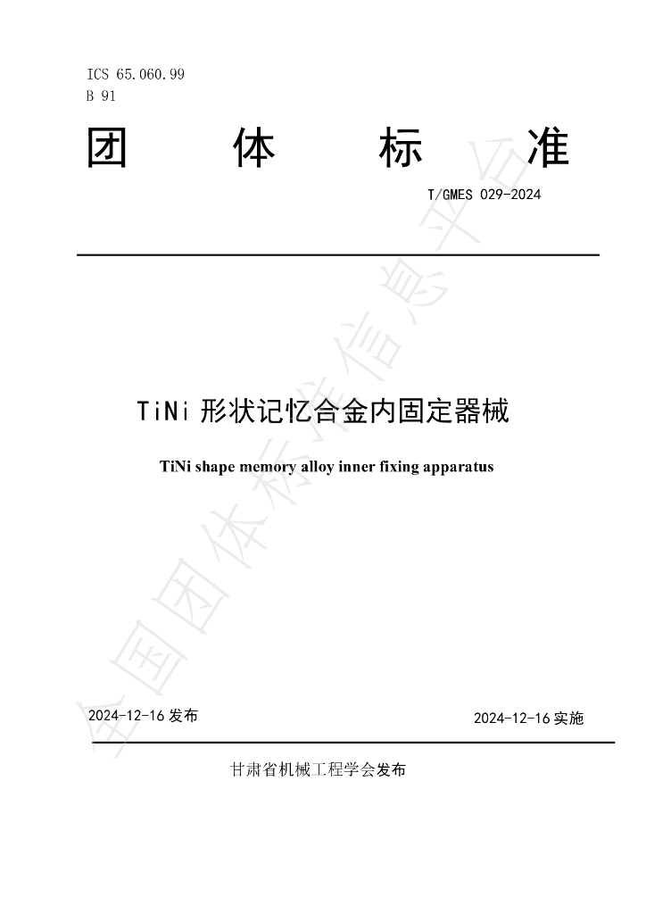 T/GMES 029-2024 标准预览