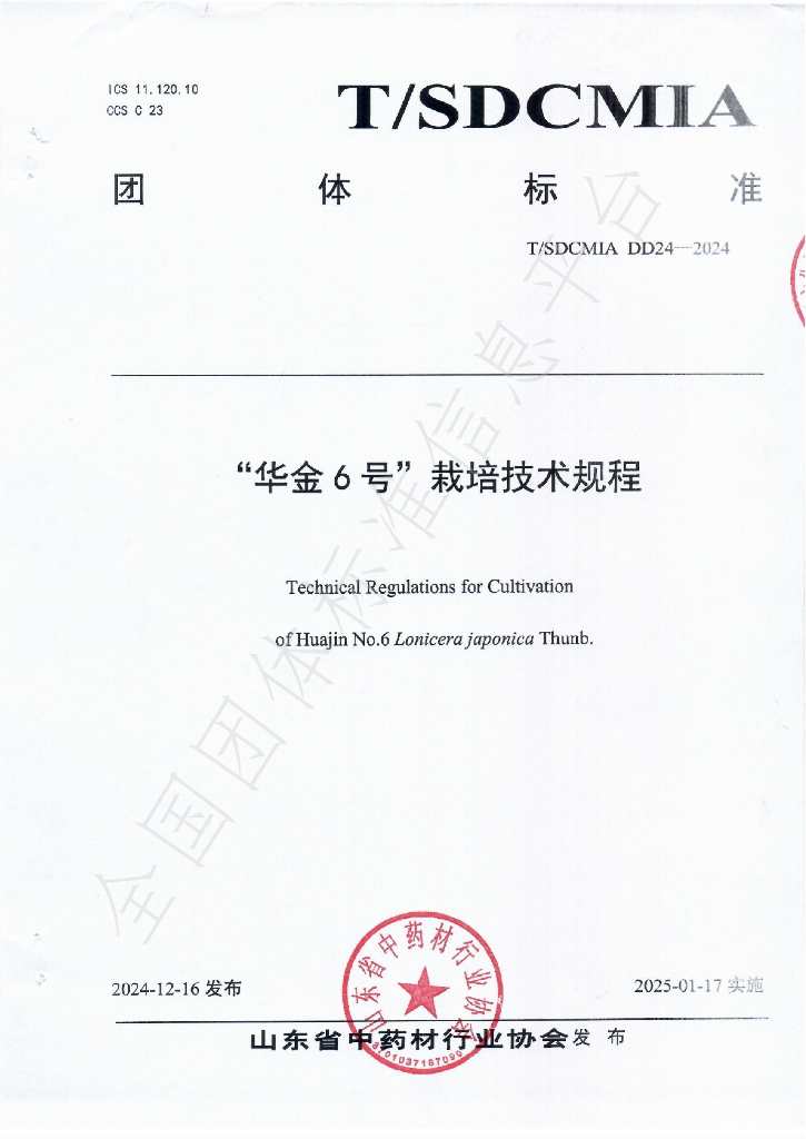 T/SDCMIA DD24-2024 标准预览
