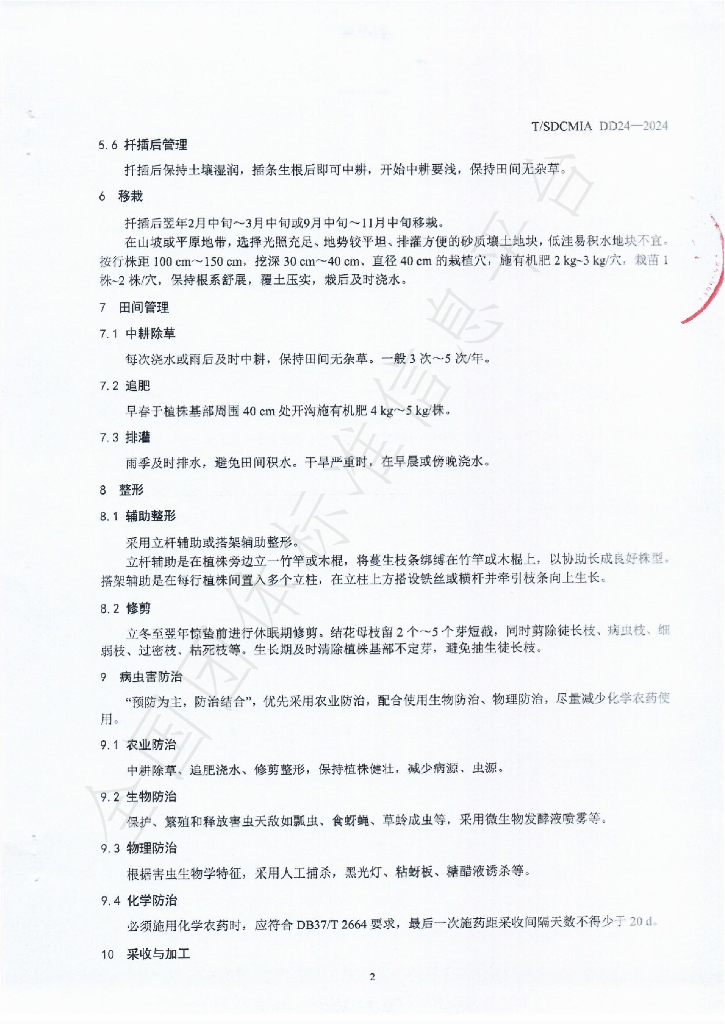 T/SDCMIA DD24-2024 标准预览