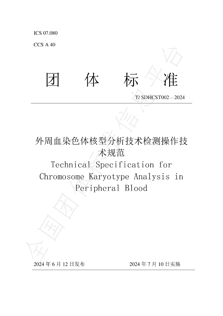 T/SDHCST 002-2024 标准预览