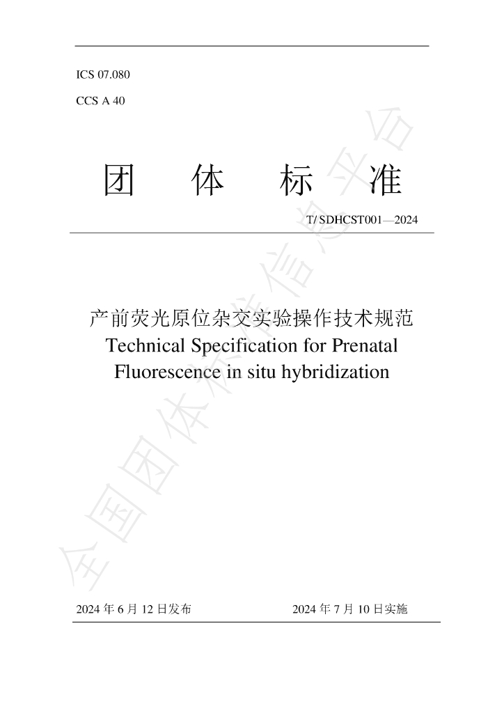 T/SDHCST 001-2024 标准预览