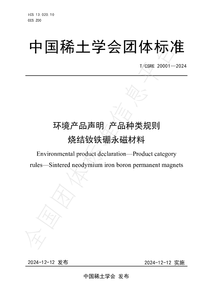 T/CSRE 20001-2024 标准预览