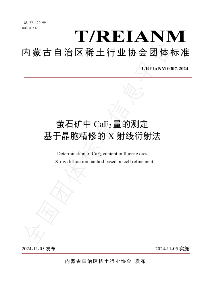 T/REIANM 0307-2024 标准预览