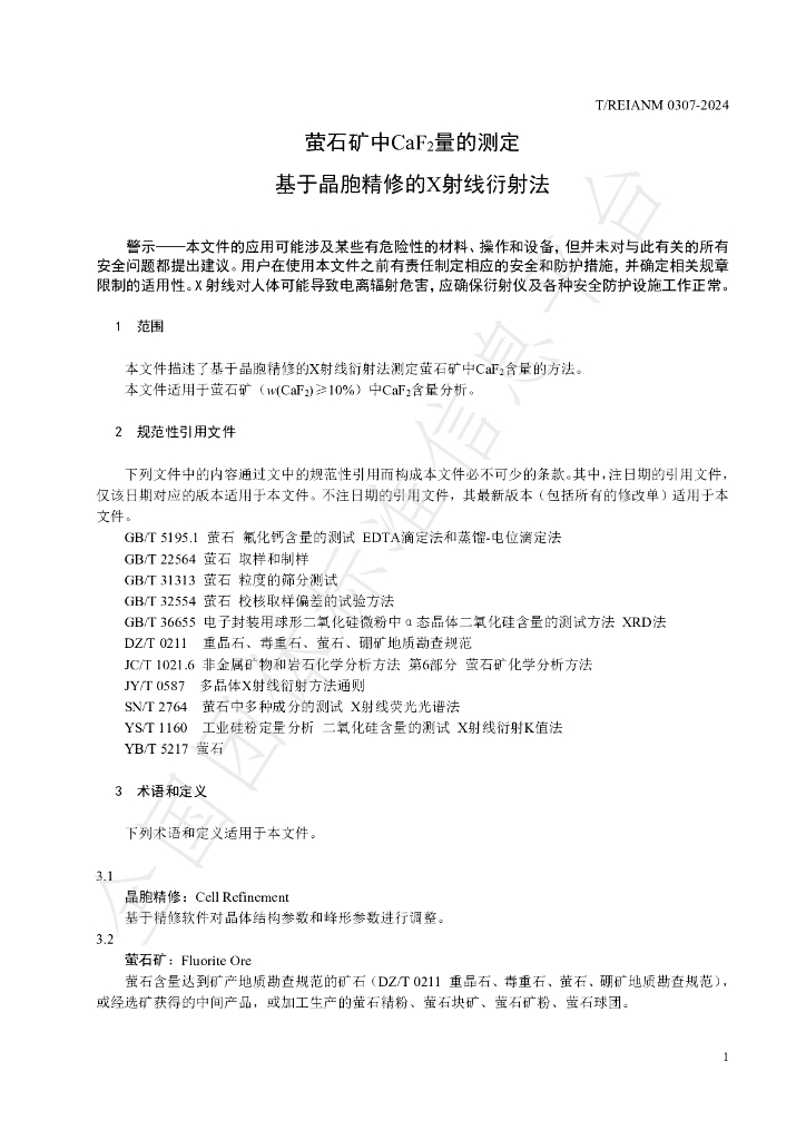 T/REIANM 0307-2024 标准预览