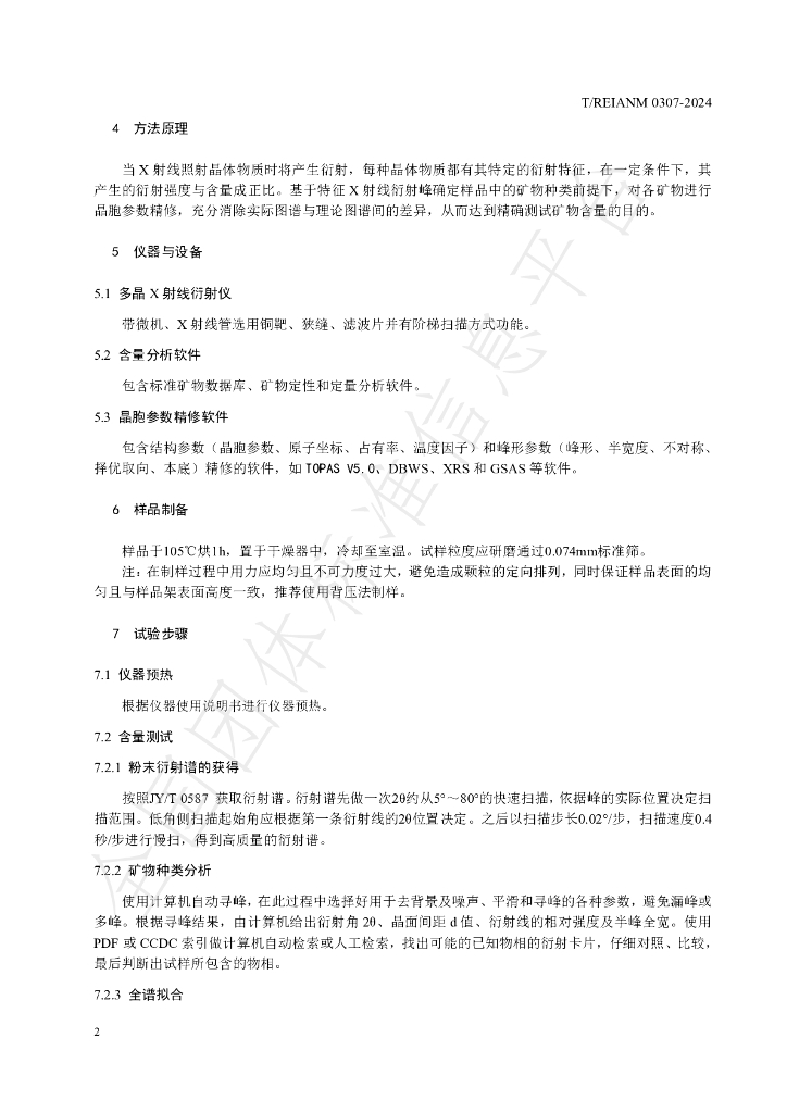 T/REIANM 0307-2024 标准预览