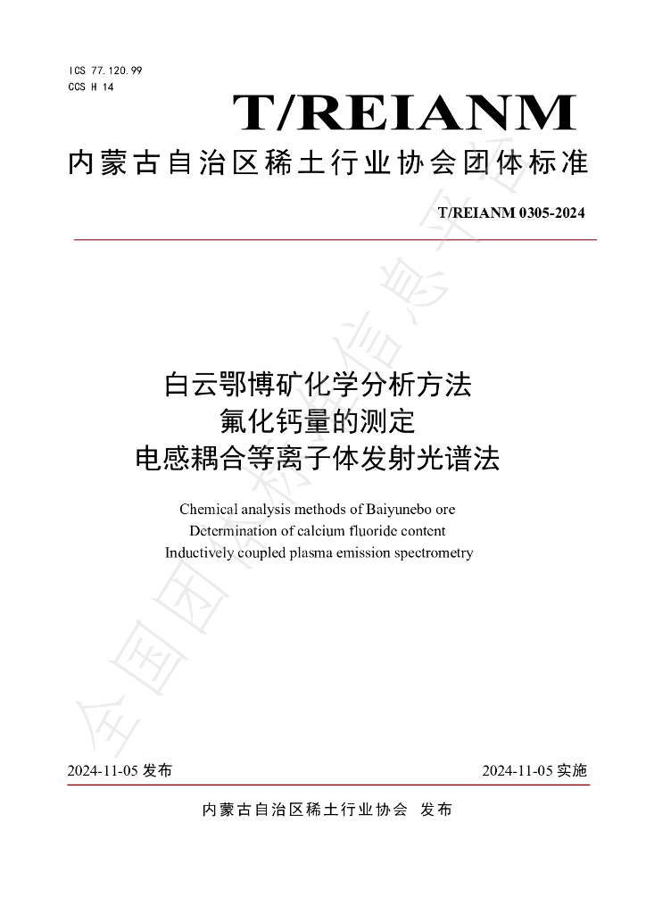 T/REIANM 0305-2024 标准预览