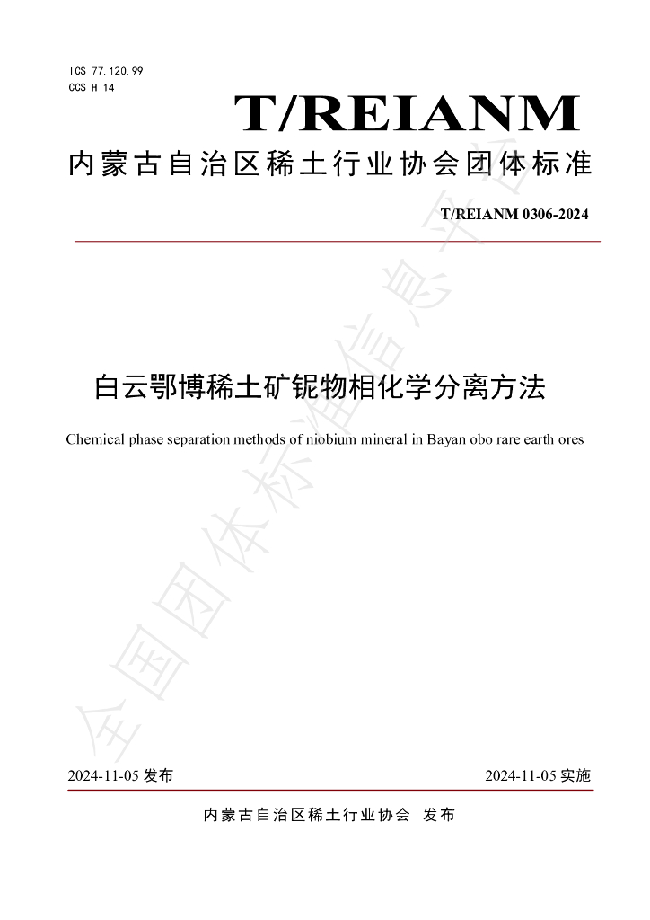 T/REIANM 0306-2024 标准预览