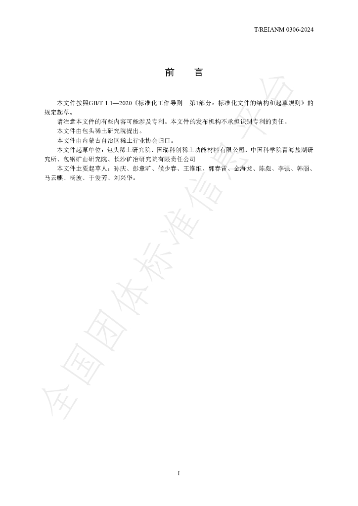 T/REIANM 0306-2024 标准预览