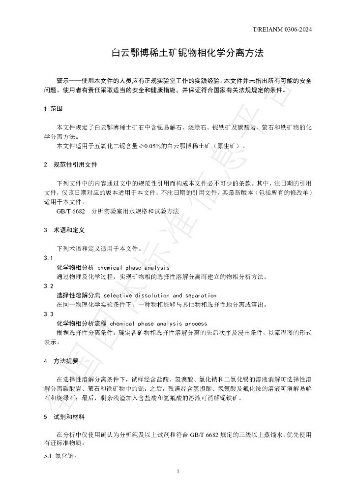 T/REIANM 0306-2024 标准预览