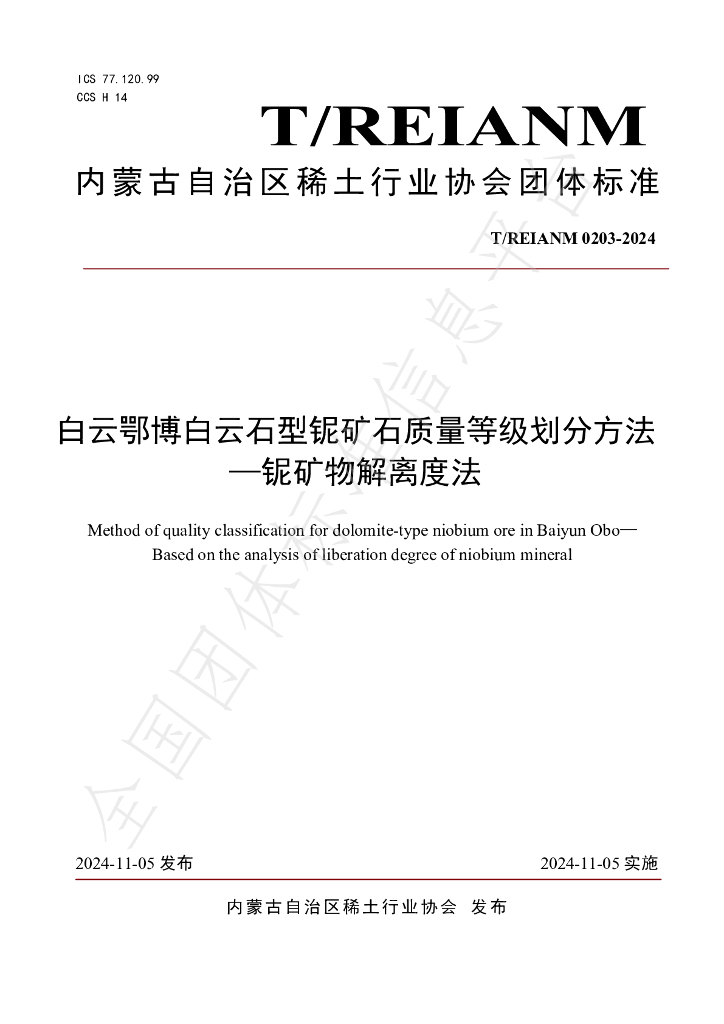 T/REIANM 0203-2024 标准预览