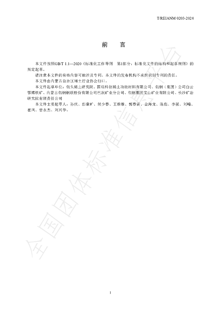 T/REIANM 0203-2024 标准预览
