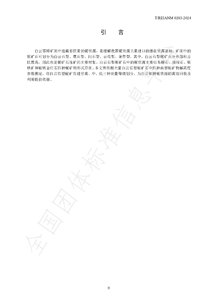 T/REIANM 0203-2024 标准预览