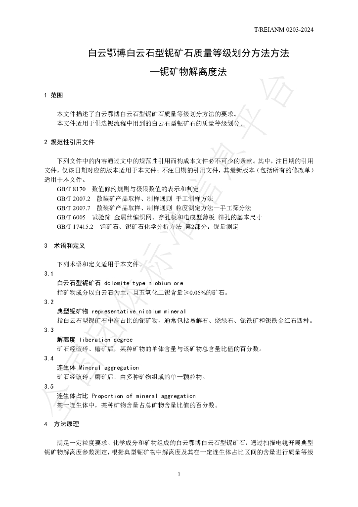 T/REIANM 0203-2024 标准预览